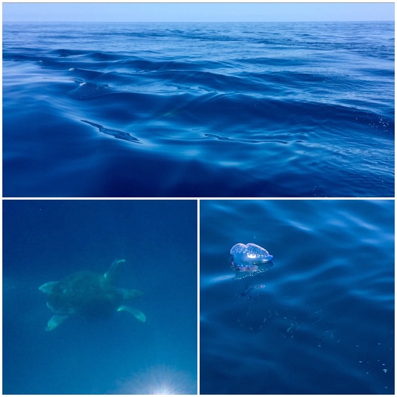 Bookmark me! - Picture 4 of 6